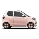 Henrey EV MINCAR 3 doors with 2 seats